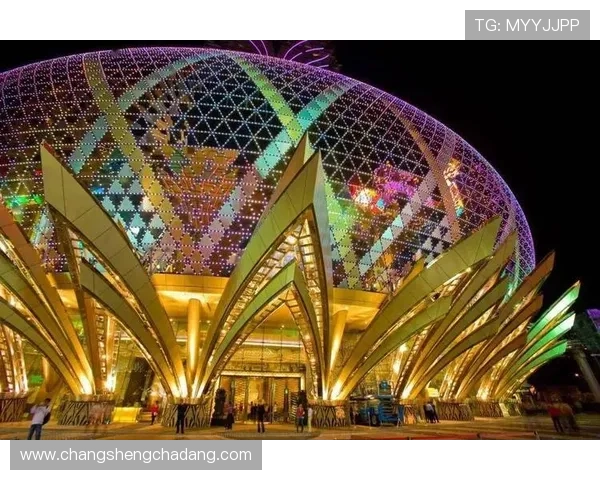 澳门新葡京旗舰厅官方地址2024年最新更新，提供最全的访问入口指南