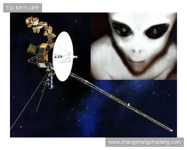 龙虎之谜:揭秘历史上未解之谜背后的神秘力量与传说故事 龙虎之谜:揭秘历史上未解之谜背后的神秘力量与传说故事