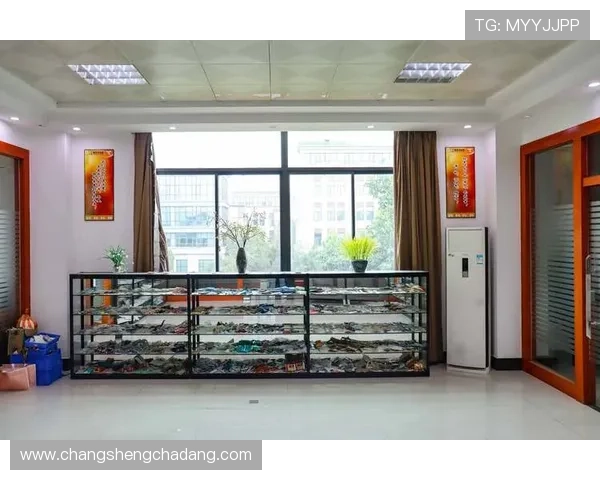 凯发K8.com官方旗舰店:保障正品与优质服务的最佳选择 凯发K8.com官方旗舰店:保障正品与优质服务的最佳选择