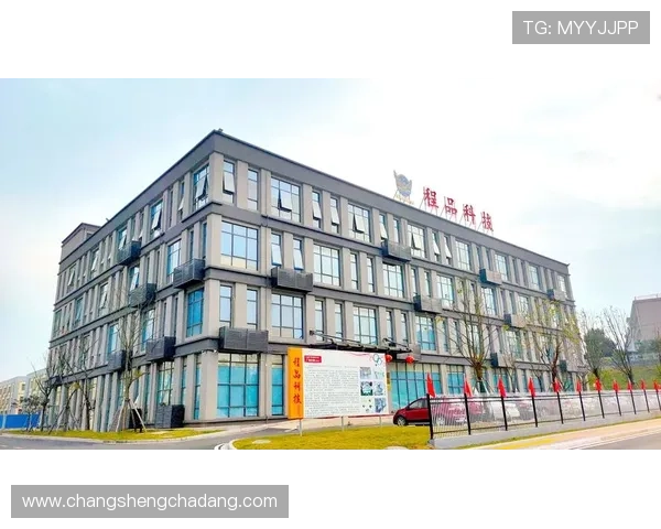 凯发k8国际app技术支持与常见问题解决方案