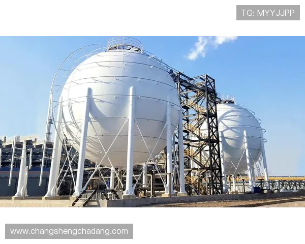 K8凯发在线登录入口常见安全风险及防范措施全面讲解