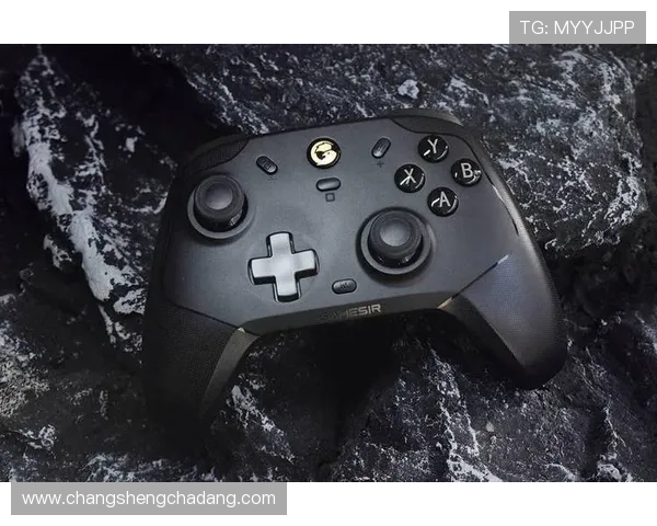 凯发PP电游：安全稳定的游戏平台，带你畅玩多样化的高品质电子游艺体验