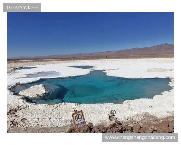 K8捕鱼游戏中的常见误区与避免方法，助你顺利升级