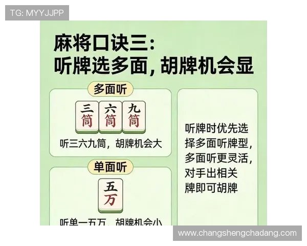 二八杠游戏大全：专业玩家分享实战经验与提升胜率的实用技巧总结