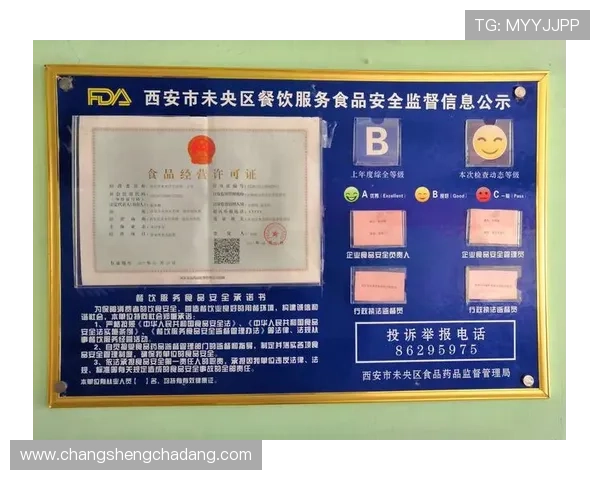 凯发看牌抢庄牛牛安全可靠，保障玩家资金与个人信息安全的全面措施介绍