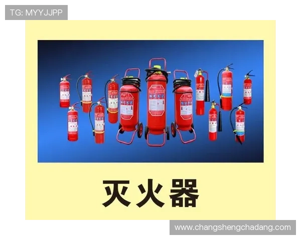 全面解析K8凯发app网址的注册流程与账号管理技巧，提升游戏体验效率