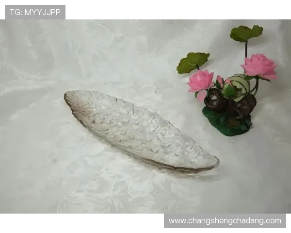 凯发体育集团网址查询的最新方法与技巧，确保您随时掌握官方最新入口